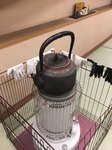 ADCAEBA9-E6AE-47C5-BDFD-E2440C6050A0.jpg